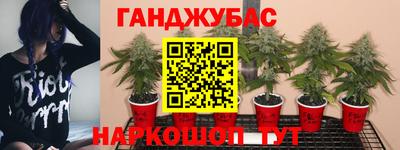ALPHA-PVP Будённовск